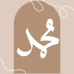 Window set Mohammed sws