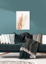 Pompomshots - Image 2